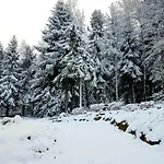 Goralka 아파트