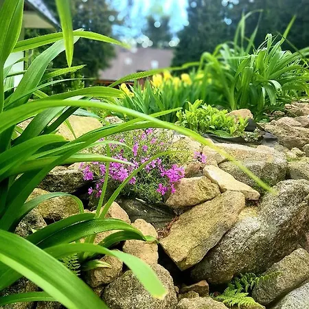 Appartement Goralka *