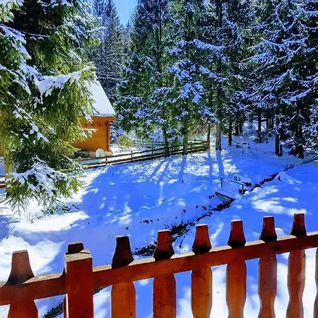 Goralka كارباش