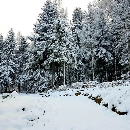 Goralka 公寓